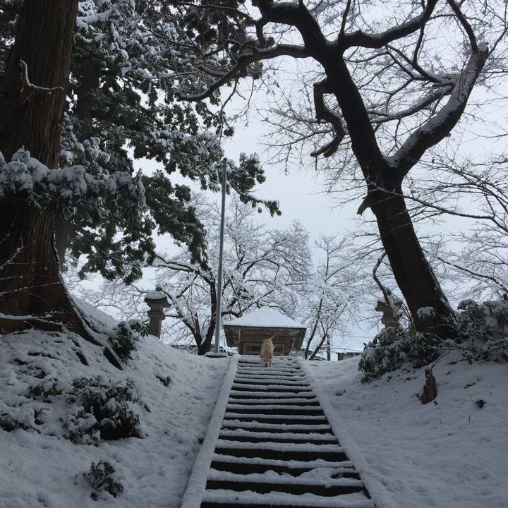 Baeece65 3ed2 4313 83c0 d2474cc15a49 1550039733462