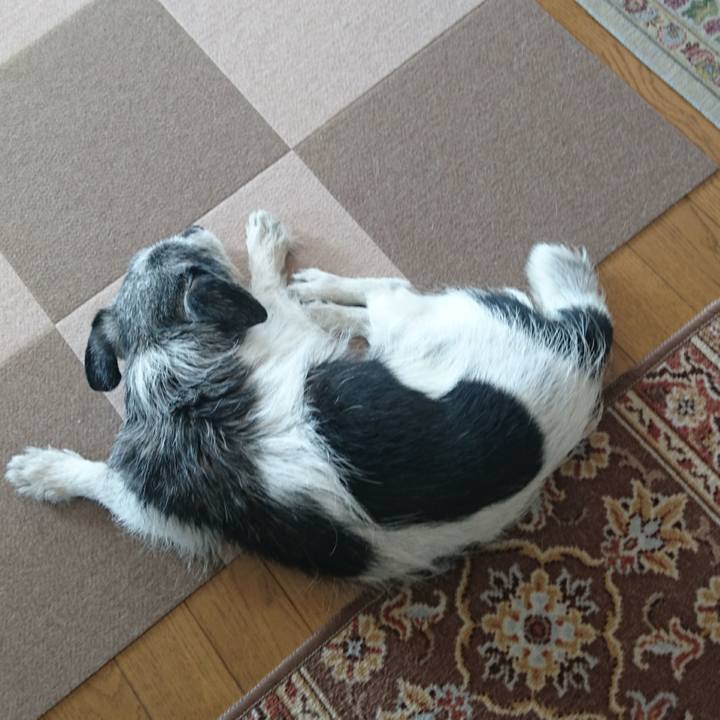 Baef0dab 4990 4932 b5fa 1cc7d92f01a7 1543024352080