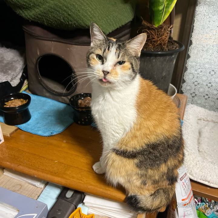 Baef1cf9 3c6e 4766 aec5 d8d4c49d75b7 1760997336293