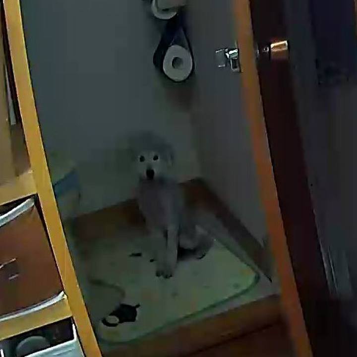 Baef3092 ecb7 4d80 9e39 16a3cae3174c 1622360913188