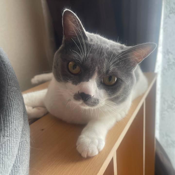 Baef5968 3fc1 4a17 8bd9 786c97a195d8 1630103546652