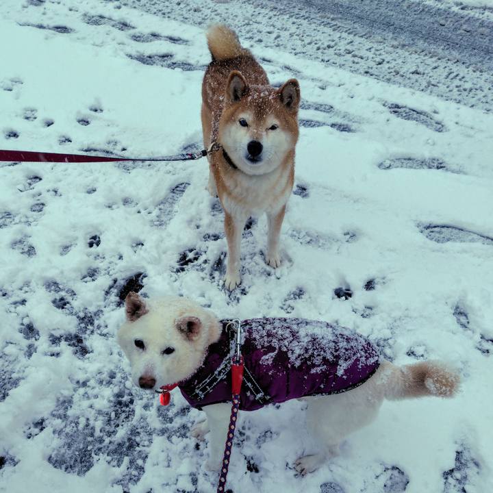 Baef7b7f 0526 4a79 8539 f9fbdd8b38de 1738746639633