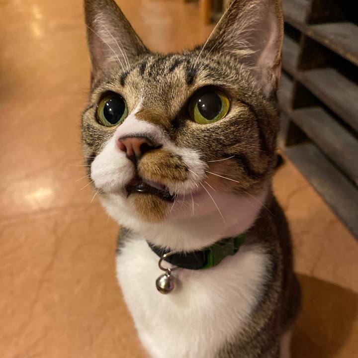 Baefd138 3346 4a89 b1f4 6a292c51ec84 1660299021743