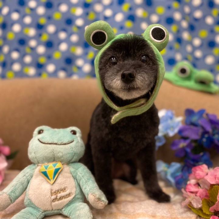 Baf00a9a 4c42 4391 a1ac 3a9c3684e082 1653218921075