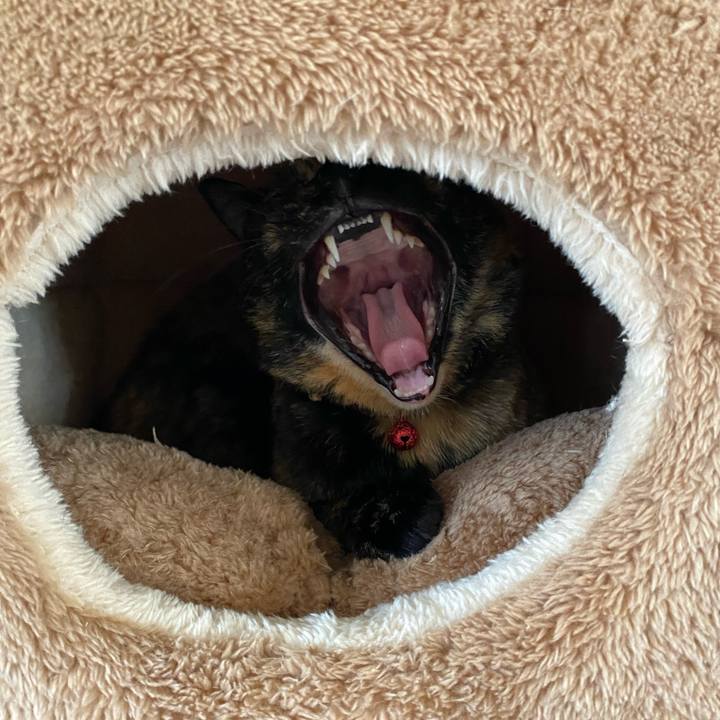 Baf03c52 03cb 491d b291 d72be47e065c 1733921766083