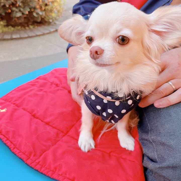 Baf082af 622a 4551 aa96 1e9edd3818fe 1667478733700