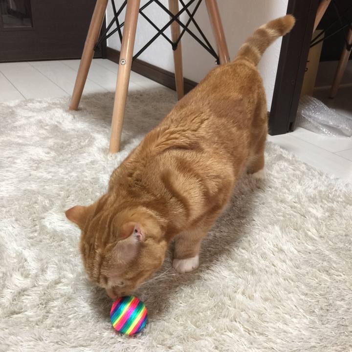 Baf093b5 6318 4159 bfe0 04d598409004 1518999180359