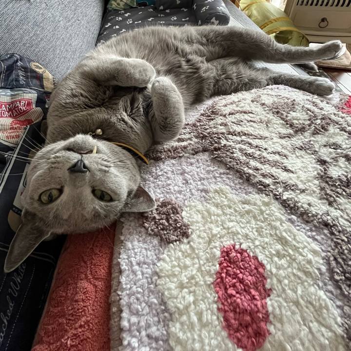 Baf0ea4c 66dc 48c1 a711 dbf043092d21 1699071456974