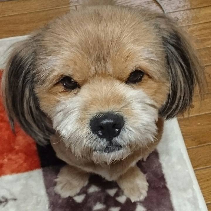 Baf11d8b efd1 45dc 8a91 1974e8d18191 1543794603583