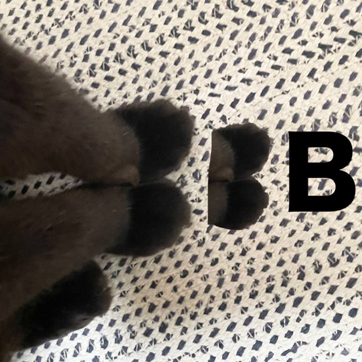 Baf1880f 5e9a 46be bcfa c04c5689243b 1756851651241