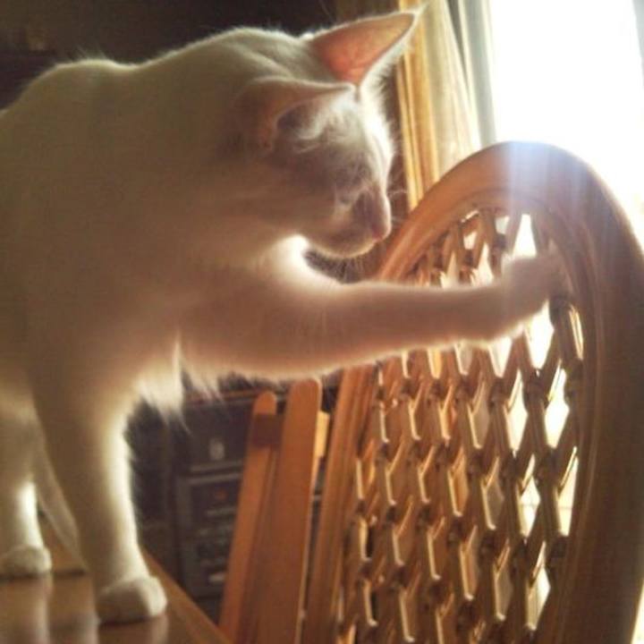 Baf18a20 d442 428c 822a 2b78fa4279be 1685867558525