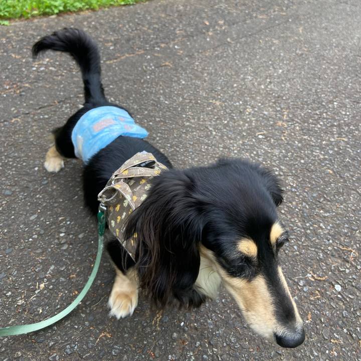 Baf1b053 ccd0 4b0c aa38 788c78ad8d93 1714115716220