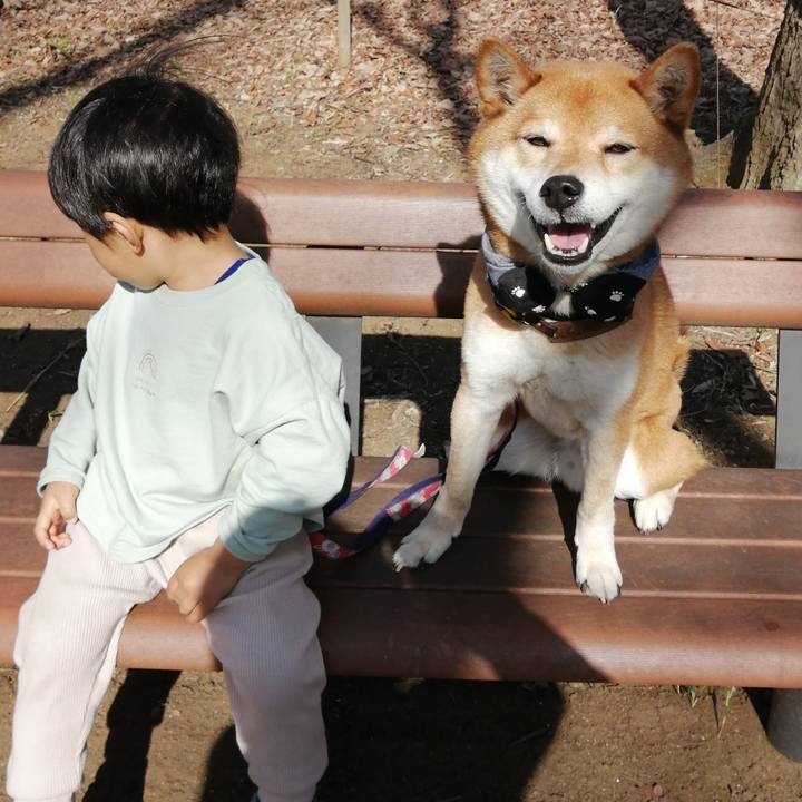 Baf1b97f 6e3f 4854 97e4 49390d74965e 1615357790861