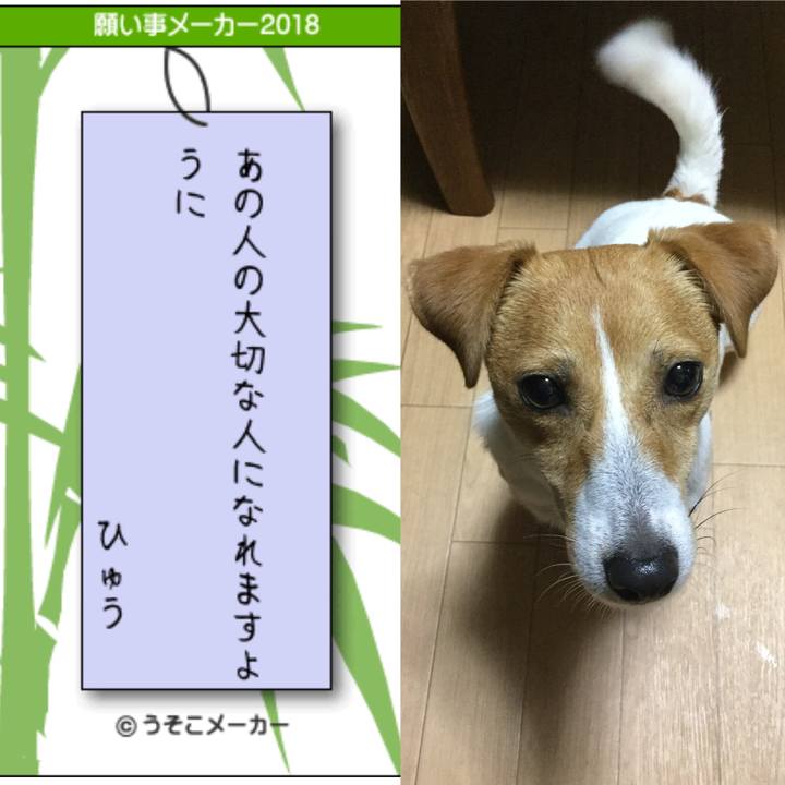 Baf1bb89 8646 4aa0 b03f c44f86e47e84 1530960052854