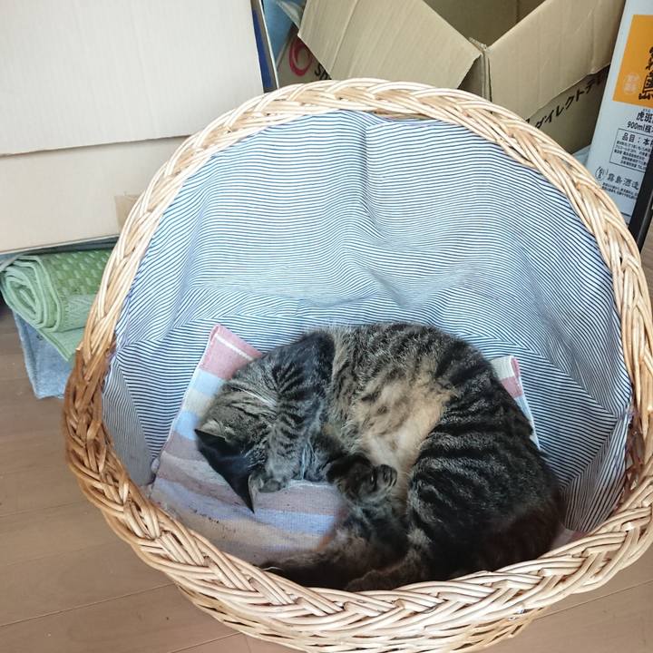 Baf1c208 fc43 4ac2 a77e cde1c54cf531 1662788387292