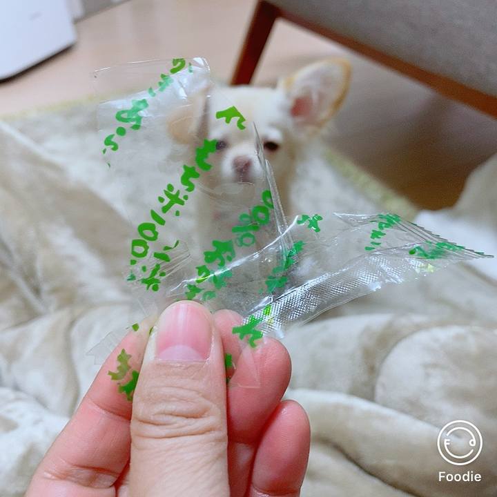 Baf1d5a3 2d37 43ec 97a7 4f18215b21f8 1605790057199