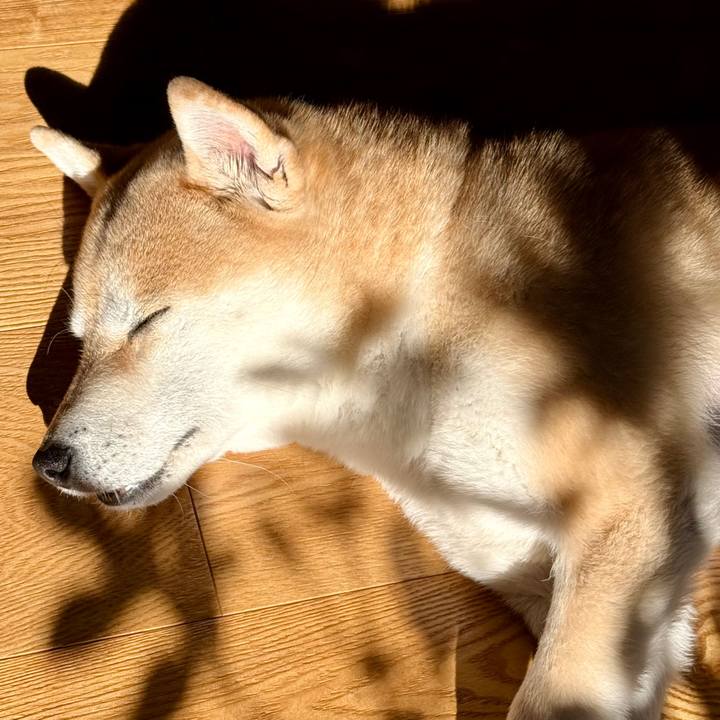 Baf1e7d6 bebd 4011 9652 e8040573b446 1767926882193