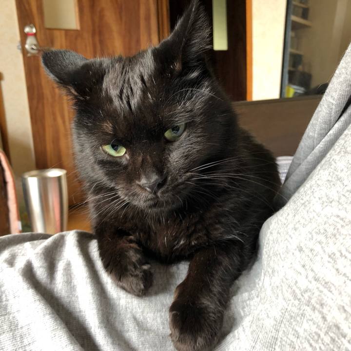 Baf1fdcf bd47 40ec 96ad bea4562ef48b 1570842648066