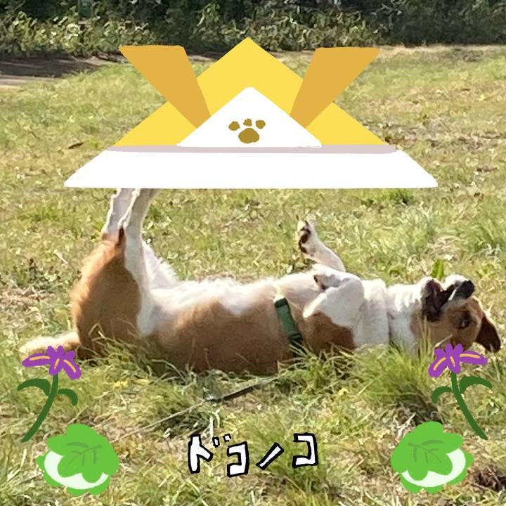 Baf21155 b13e 4aae a41d 4b3874438d99 1714960901027