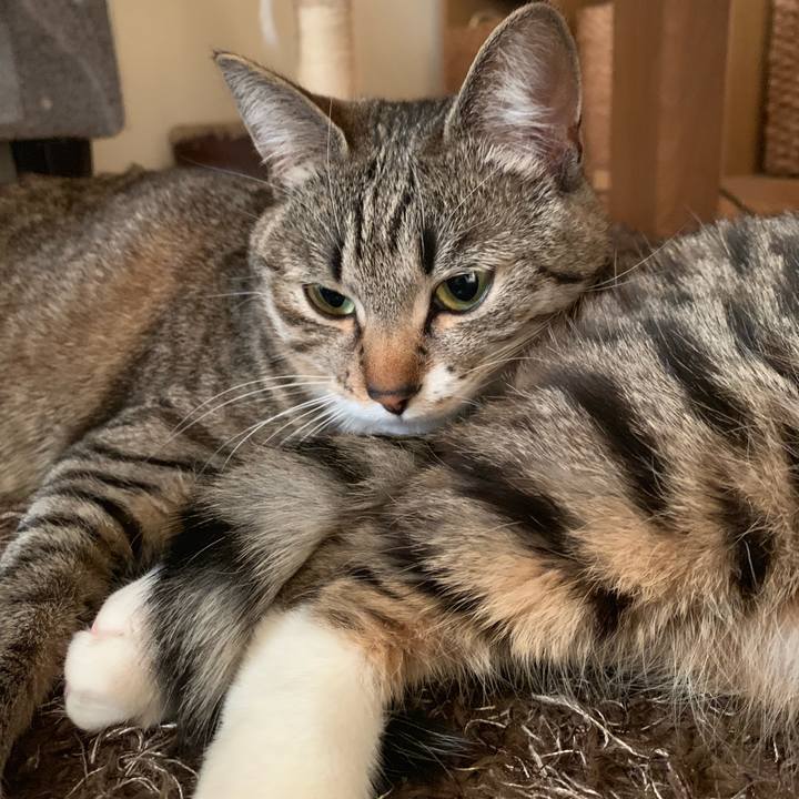 Baf22bd6 420e 4099 a0a8 1b1c4ecc08e8 1555488313907