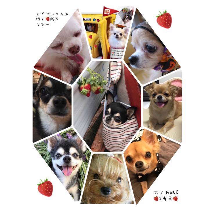 Baf22f3d 9574 46bf af84 f8f053da5b4d 1539695584810