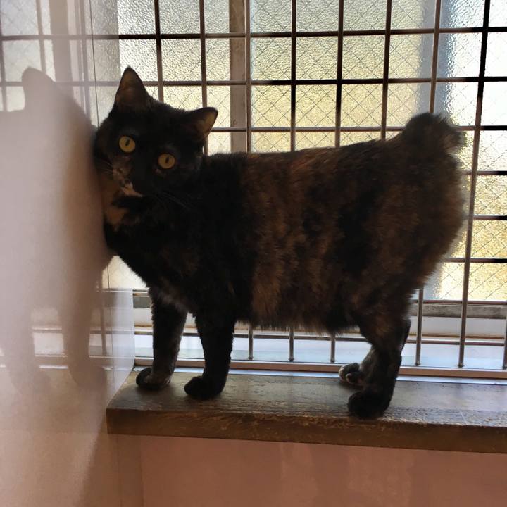 Baf239a8 f340 4ba5 beb5 5ad6271f90ea 1553206242207