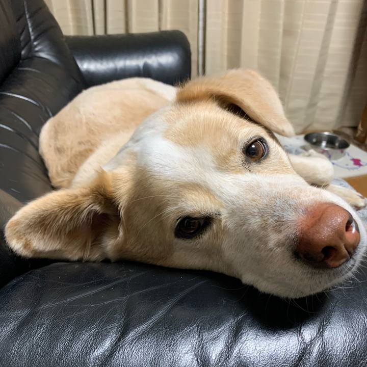 Baf262a6 084a 4260 925f abee4d1ddca1 1583370606235