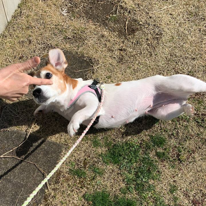 Baf27917 a3f2 4374 ba8f 83387e2ba1d0 1584275326184