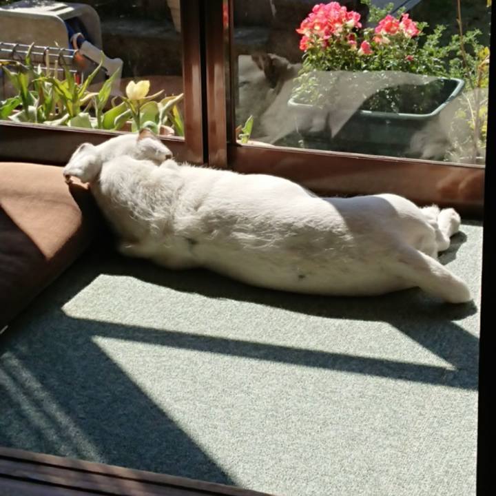 Baf28166 9737 41ea b251 81e09a276aac 1586222479322