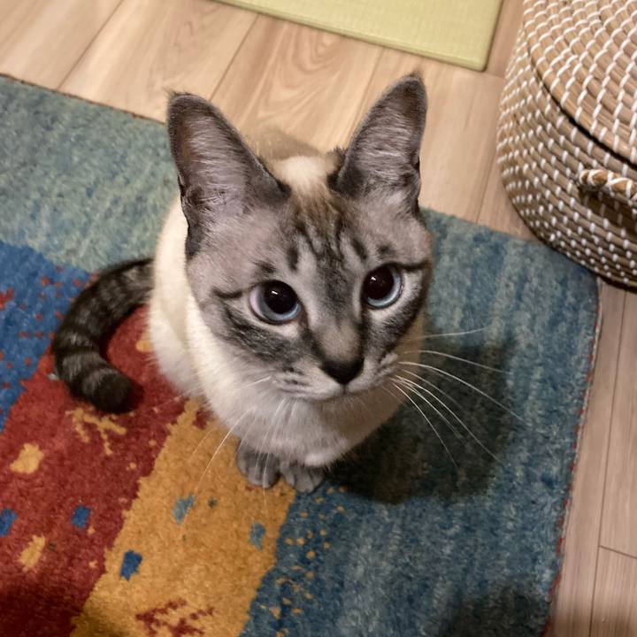 Baf2a77b ef5c 4acc a034 1eeb6bc428f4 1611668522497