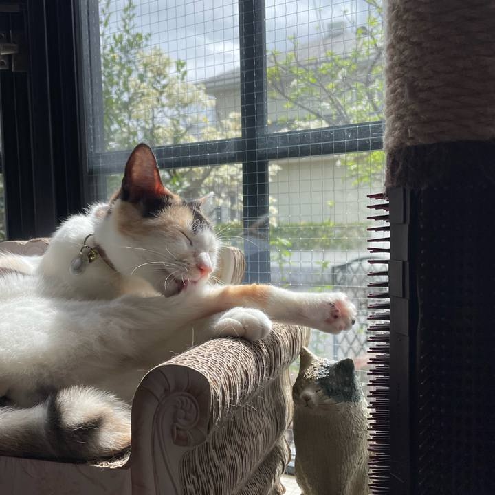 Baf2bbc1 c9cf 482c ad78 48b2ffa4ac64 1680914417777