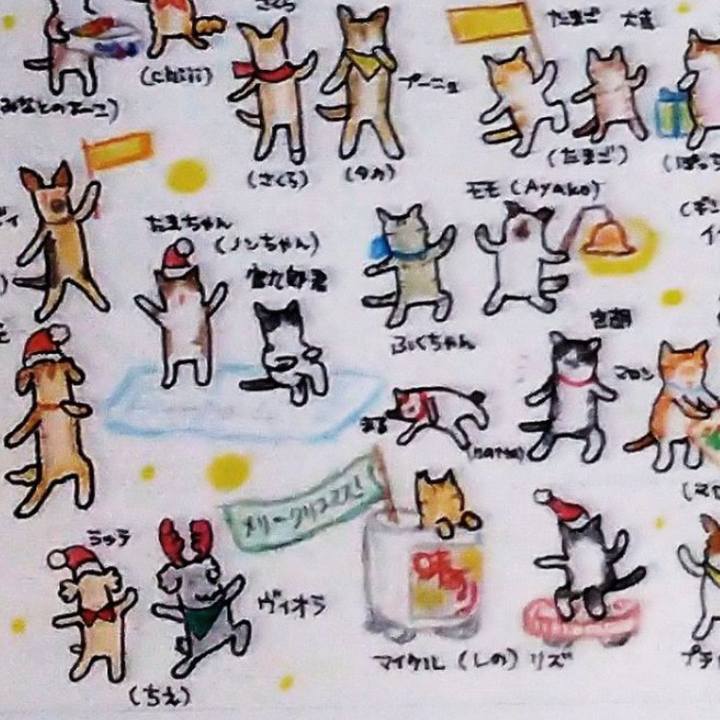 Baf2cf55 59a5 4bc9 ab0a 1a746b3d4f0a 1672069581376