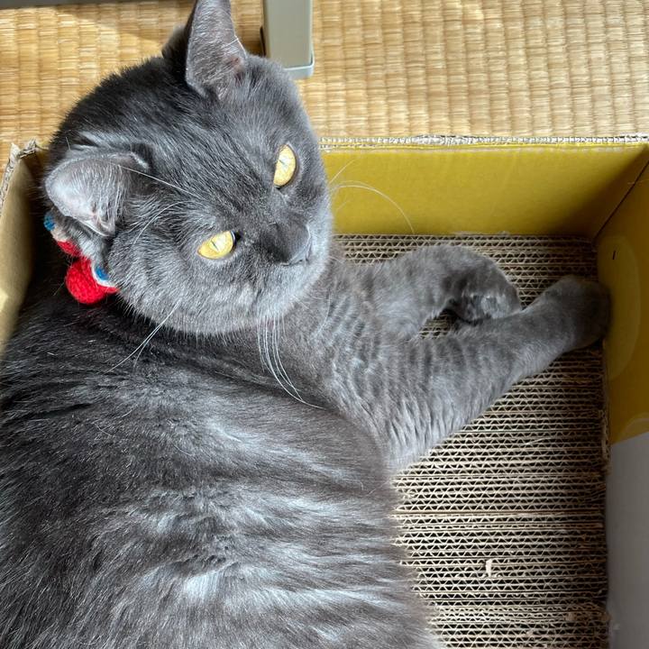 Baf2ea8d 4070 48e3 abc0 050dac1e6254 1763373452344