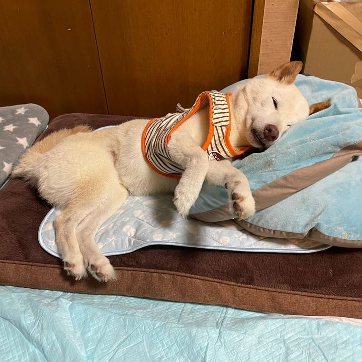 Baf33379 1647 4888 881c 577cf1920c15 1657293252927