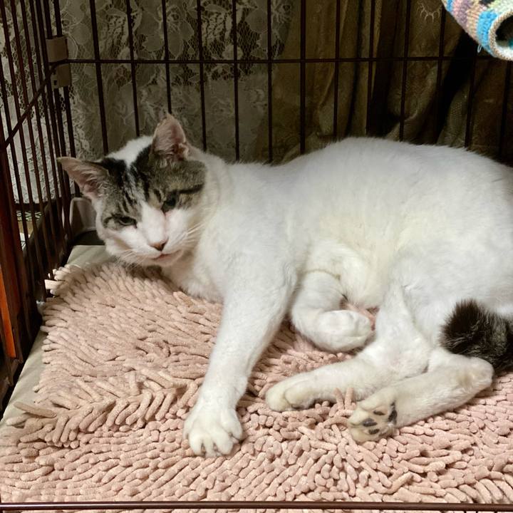 Baf337e9 fd43 43c8 b3a1 1c9ba784e1f2 1653270442610