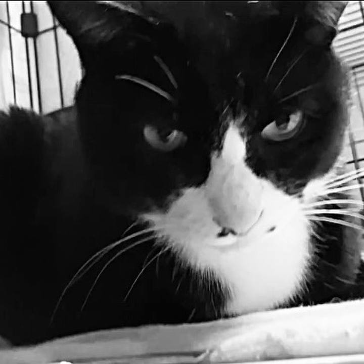 Baf33f29 2da9 48b0 aa53 101f1c1b04c2 1743682079738