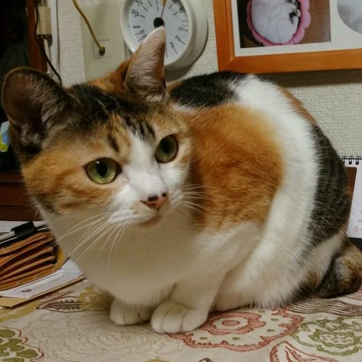 Baf343dd 6cb3 4048 8cdf 4fb7718c5937 1536491571261