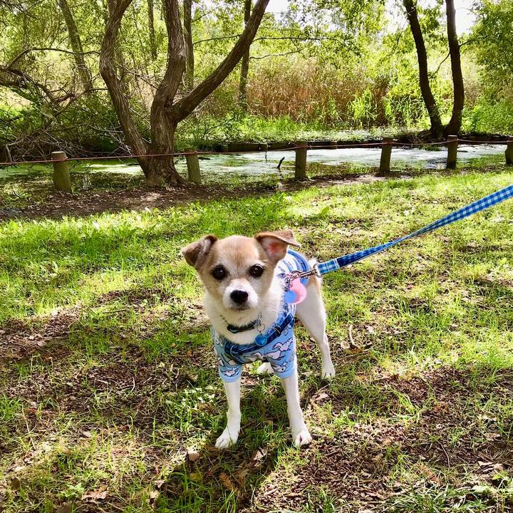 Baf3557d 02b7 4875 99ba a3e17f9dd0e8 1665289140057