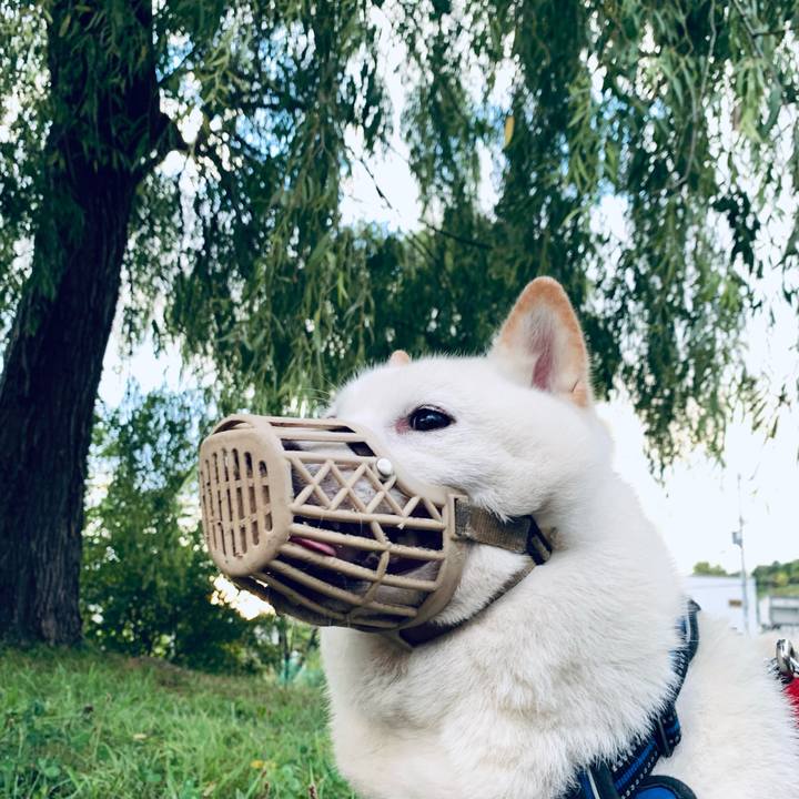 Baf3aa8e af41 4ecf 8f5a 918f6323f95a 1632087818805