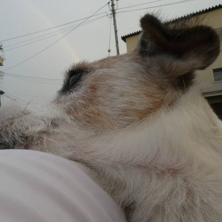 Baf3b89e c458 453d 8213 d8a26c1051c3 1599400271485