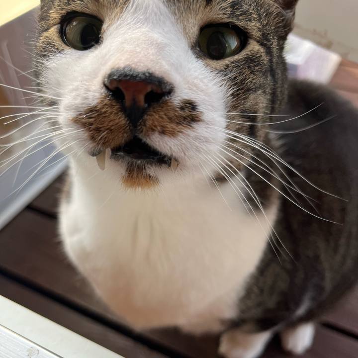 Baf4133d 01dd 4352 b7d5 2eeca99997f8 1748036488975