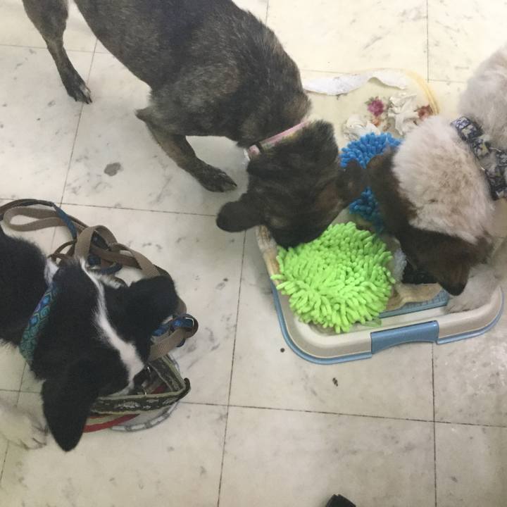 Baf45deb 812a 437b aac8 a059d4039405 1580091257275