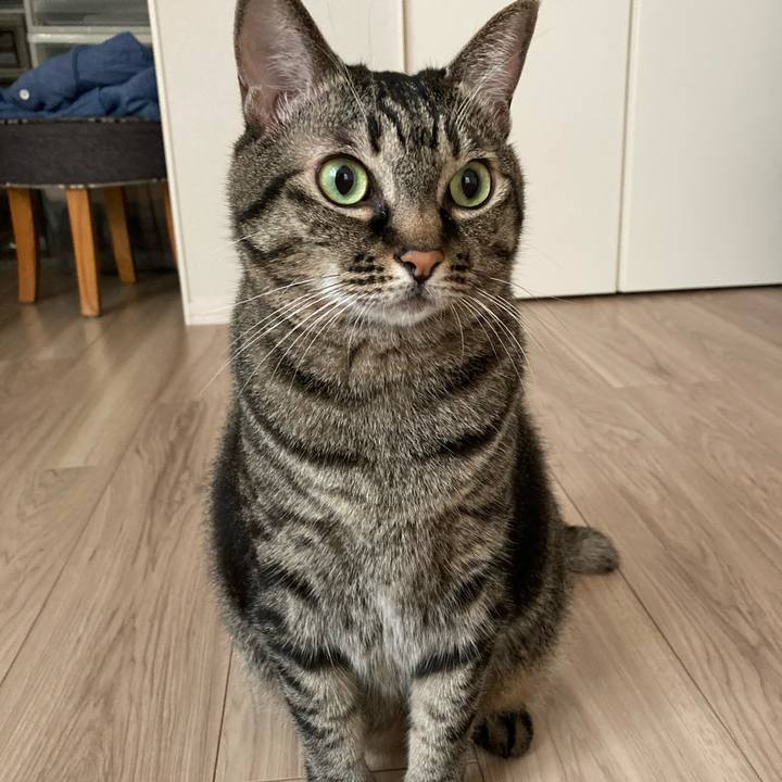 Baf4671a dff1 4b32 b55c c73a4f4b454f 1631930582933