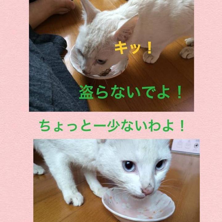 Baf47daf 7df4 472b b829 097068fe85bb 1624074916987