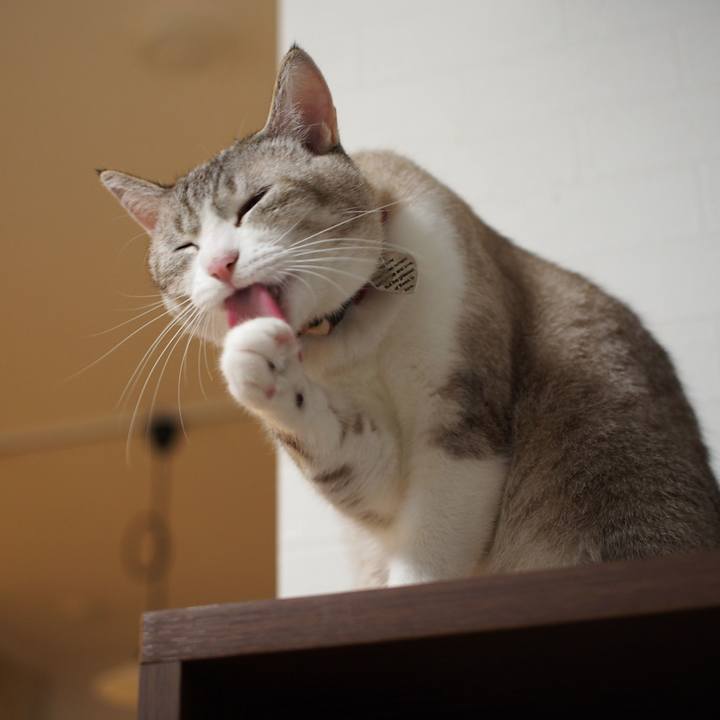 Baf4907a b49e 4f5a 8e5a b78489c93523 1571786436143