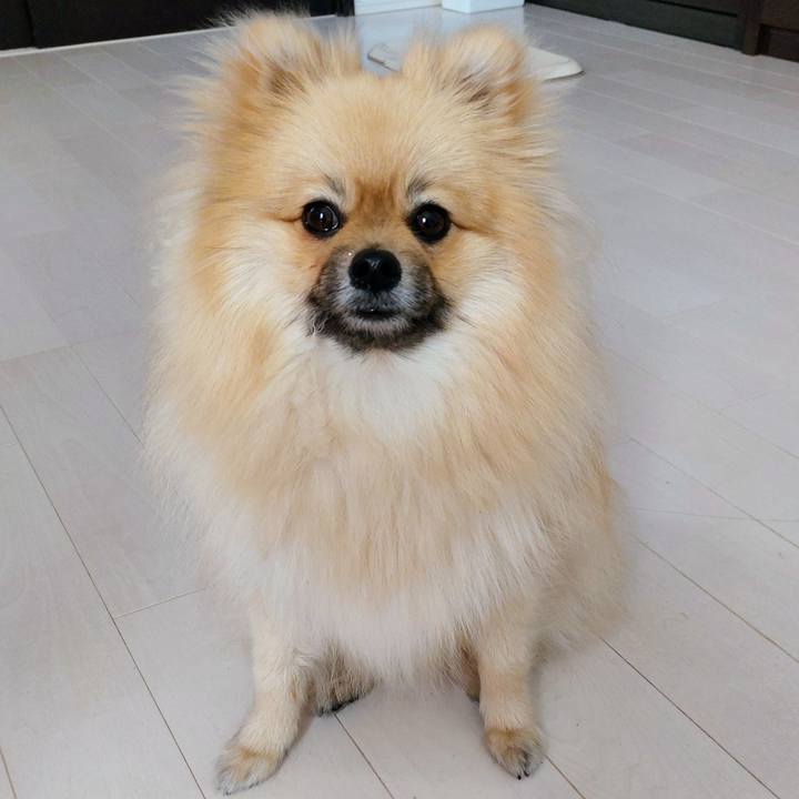 Baf4bc4f 1378 44fc a7c8 7a85475c128b 1646381354245