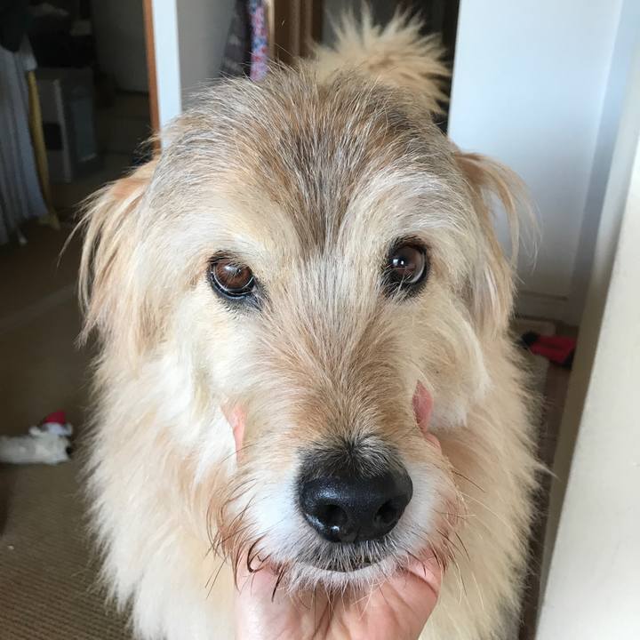 Baf4db3f d7c2 430d 959c 17b86b878dbc 1549556623500