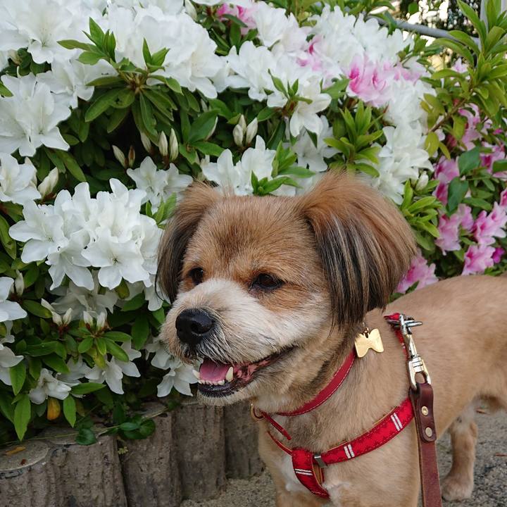 Baf4df91 7f98 4ec8 bede 2ce2a1709390 1555924752811