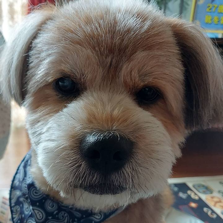 Baf4f469 e27b 44e8 97e9 513da44b41f9 1631928702292