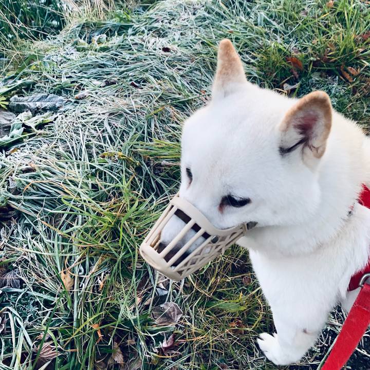 Baf4f7fd 1192 4e7a b6bb 4ab82c8e7e27 1605392081585